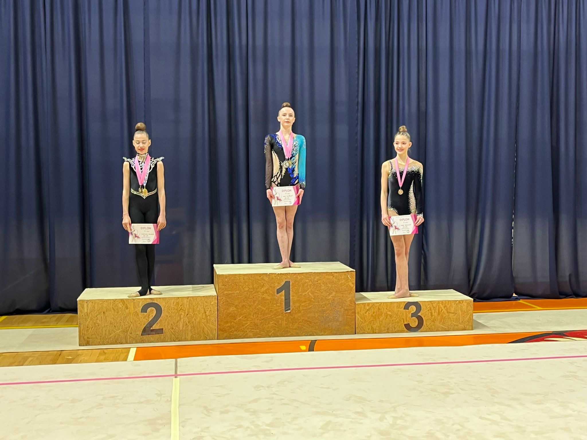 Tým moderní gymnastiky